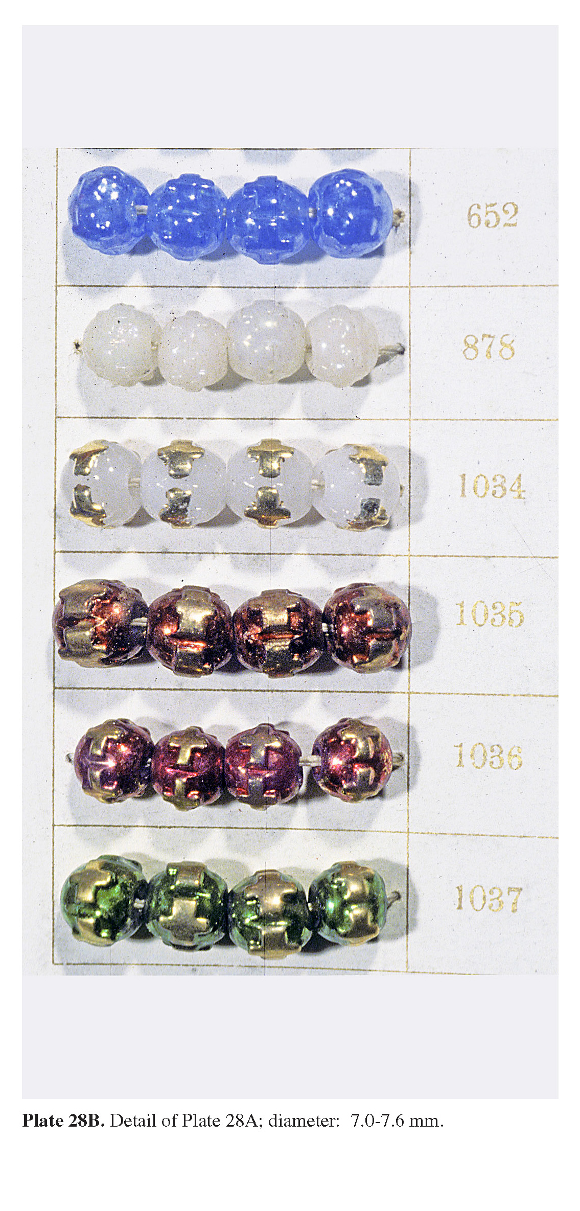 Plate 28B Detail of Plate 28A; diameter: 7.0-7.6 mm. 