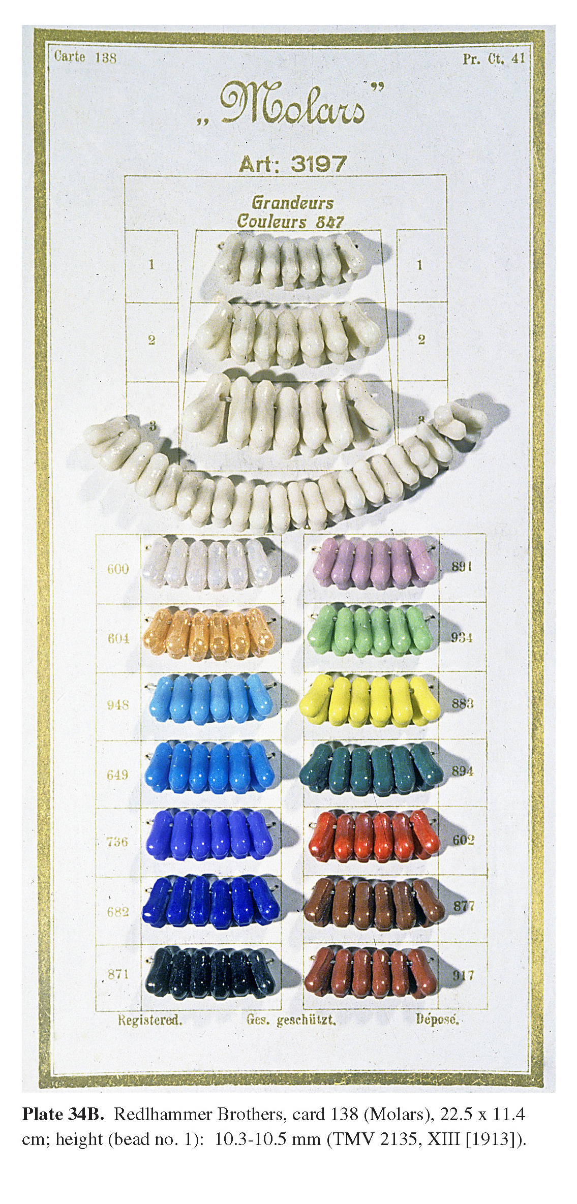 Plate 34B Redlhammer Brothers, card 138 (Molars), 22.5 x 11.4 cm; height (bead no. 1): 10.3-10.5 mm (TMV 2135, XIII [1913]).