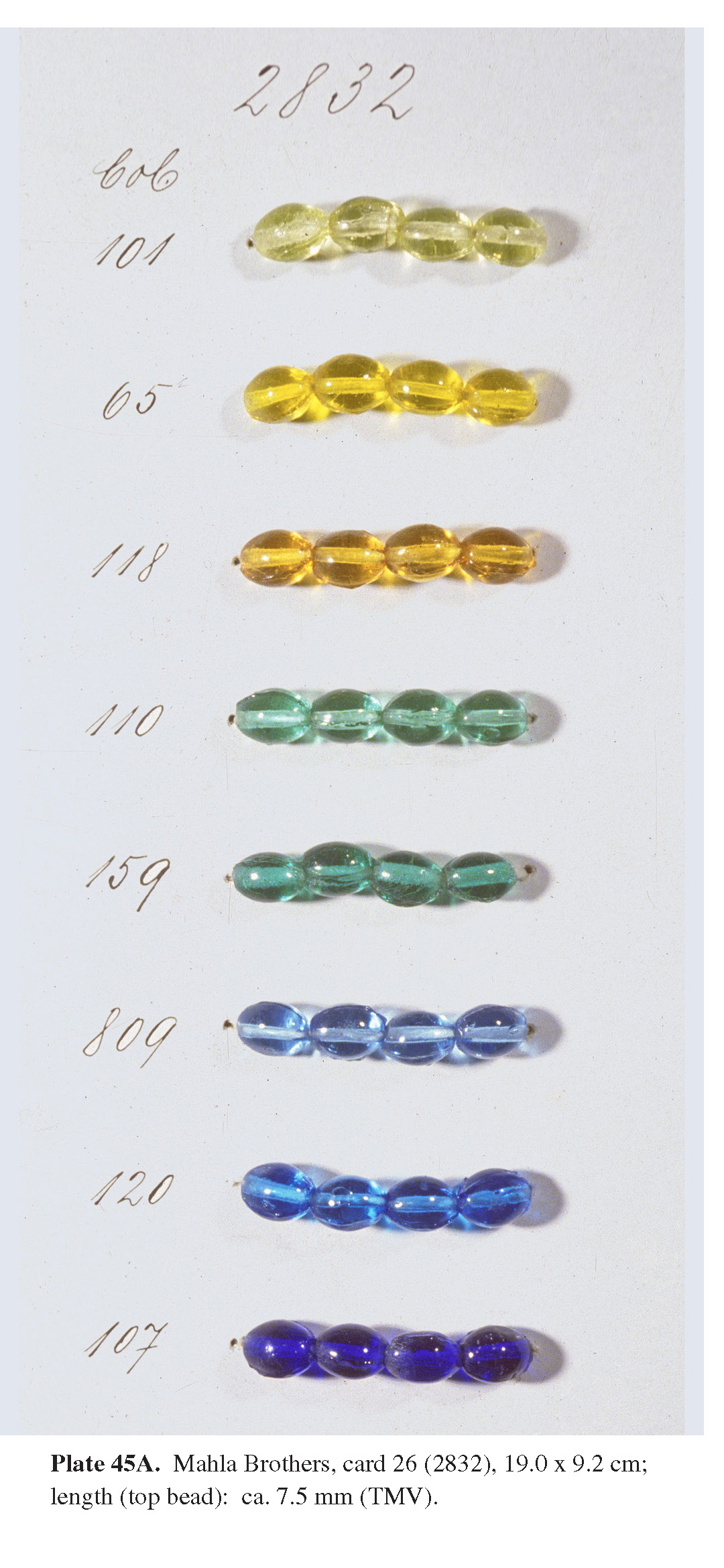 Plate 45A Mahla Brothers, card 26 (2832), 19.0 x 9.2 cm; Plate 45B. Mahla Brothers, card 2813, 19.0 x 9.2 cm (TMV). length (top bead): ca. 7.5 mm (TMV).