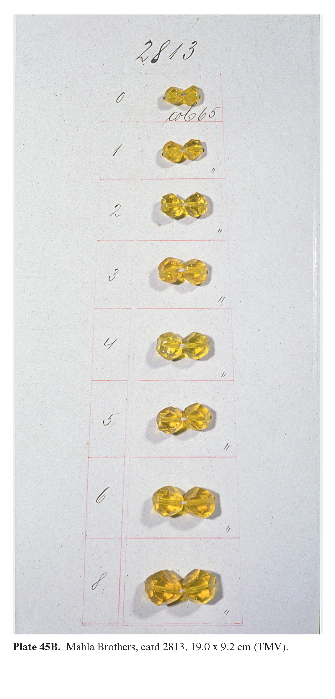 Plate 45B Mahla Brothers, card 2813, 19.0 x 9.2 cm (TMV). 